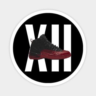 AJ 12 Magnet